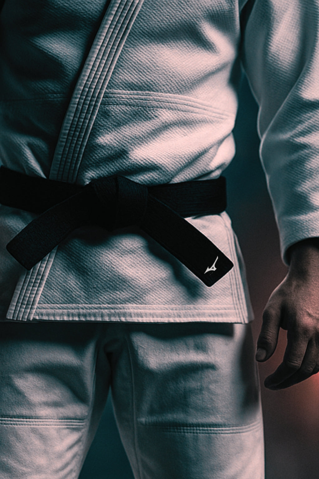 Ceintures de judo